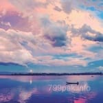 Avatar of Daniyal Haider